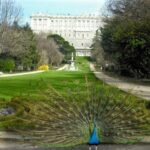 Парки и сады Мадрида